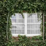 Le questioni burocratiche sull'installazione delle tapparelle in condominio: tutto ciò che devi sapere